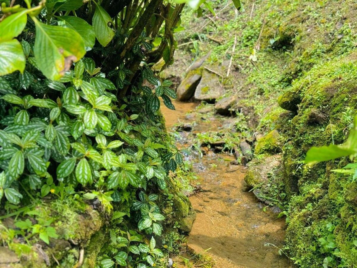 Recanto Do Riacho Em Mury Nova Friburgo Extérieur photo